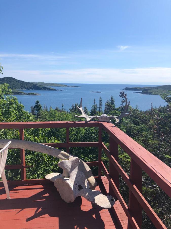 Valhalla Near L'Anse Aux Meadows エクステリア 写真