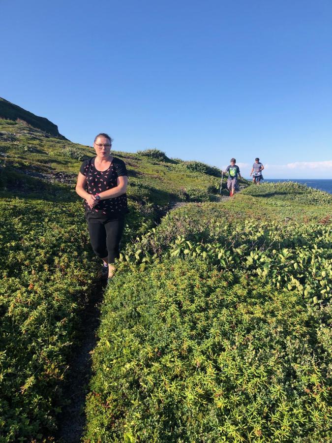 Valhalla Near L'Anse Aux Meadows エクステリア 写真